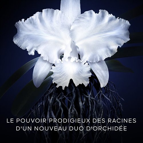 GUERLAIN-Imperial Orchid - The Light Cream - The Refill GUERLAIN-Imperial Orchid - The Light Cream - The Refill